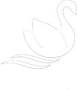 swan cinematic wedding